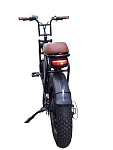 Электро FatBike Energy Lady
